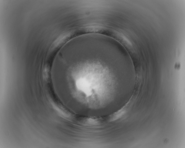 X0000091910166200709051426