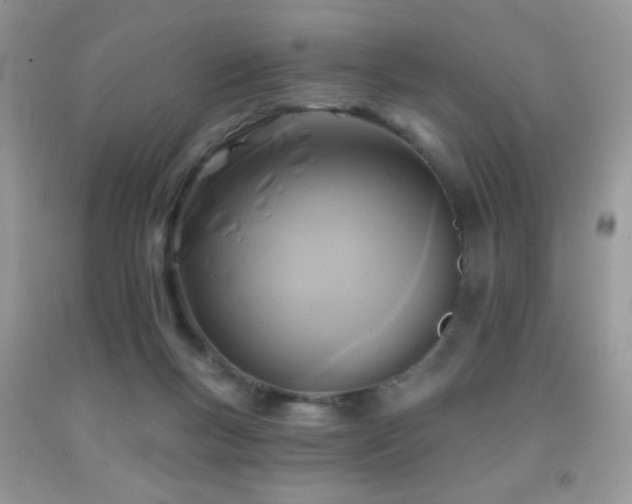 X0000091910167200709051426