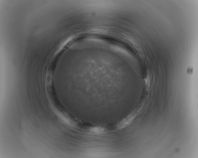 X0000091910168200709051426