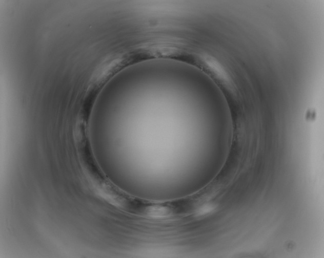 X0000091910169200709051426