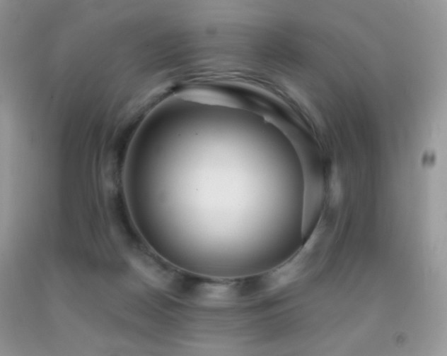 X0000091910170200709051426