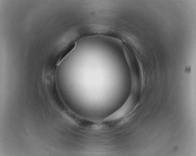 X0000091910172200709051426