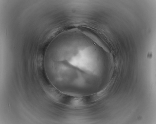 X0000091910175200709051426