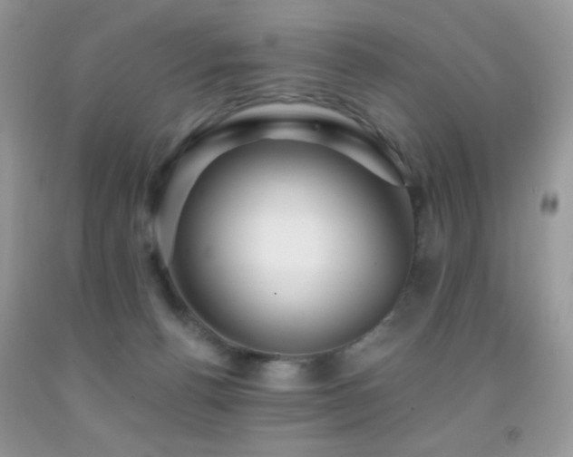 X0000091910176200709051426