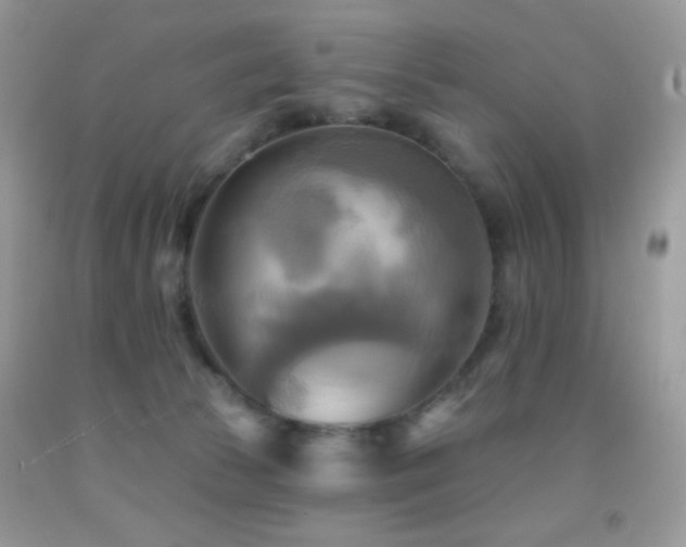X0000091910177200709051426