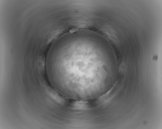 X0000091910179200709051426