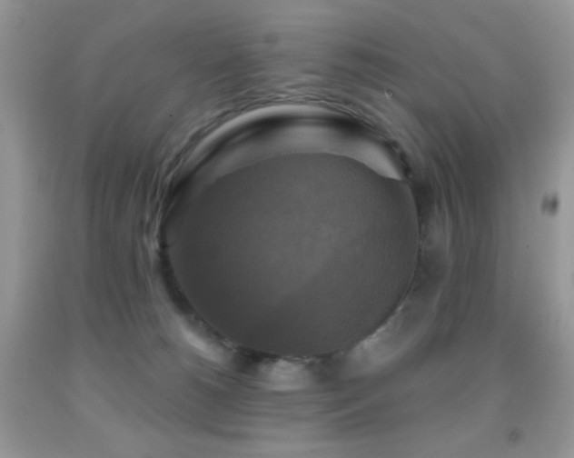 X0000091910180200709051426