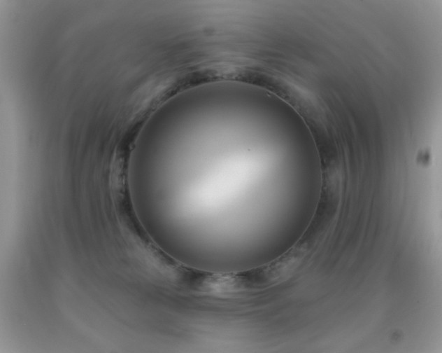 X0000091910181200709051426