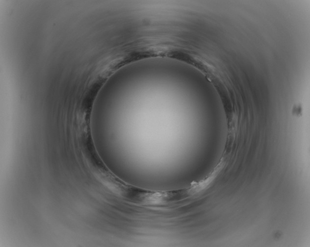 X0000091910182200709051426