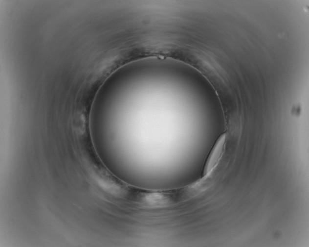 X0000091910183200709051426