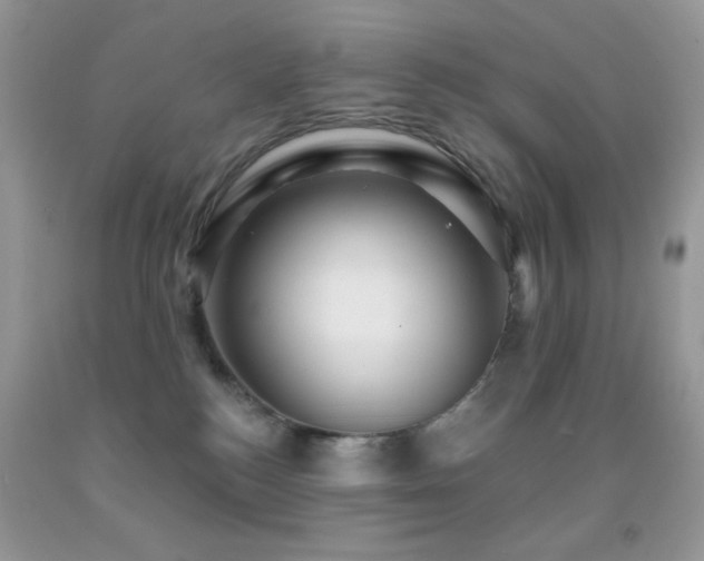 X0000091910184200709051426