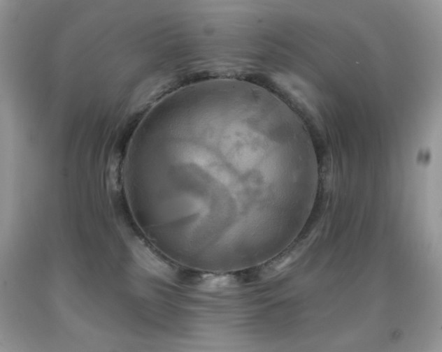 X0000091910185200709051426