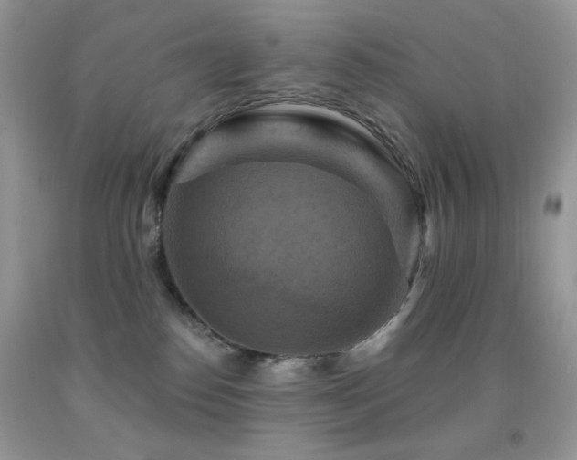 X0000091910186200709051426