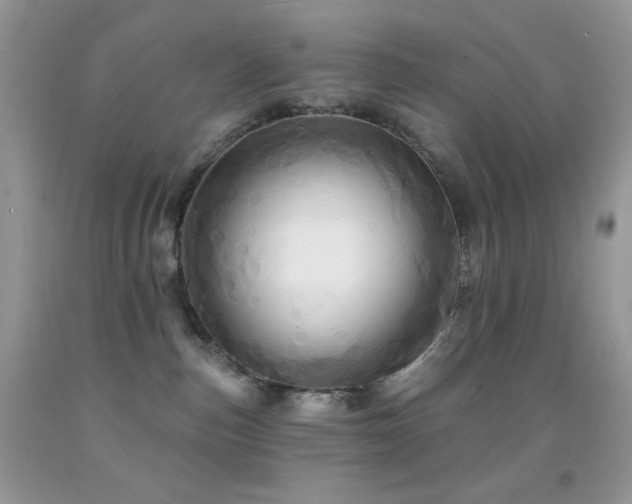 X0000091910187200709051426