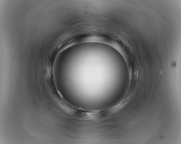 X0000091910188200709051426