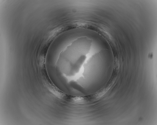 X0000091910189200709051426