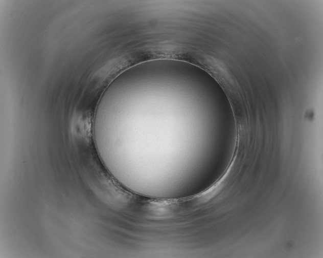 X0000091910190200709051426