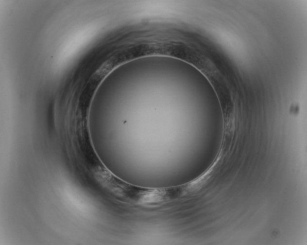 X0000091910191200709051426