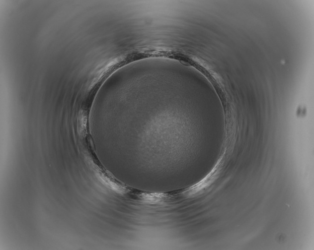 X0000091910192200709051426