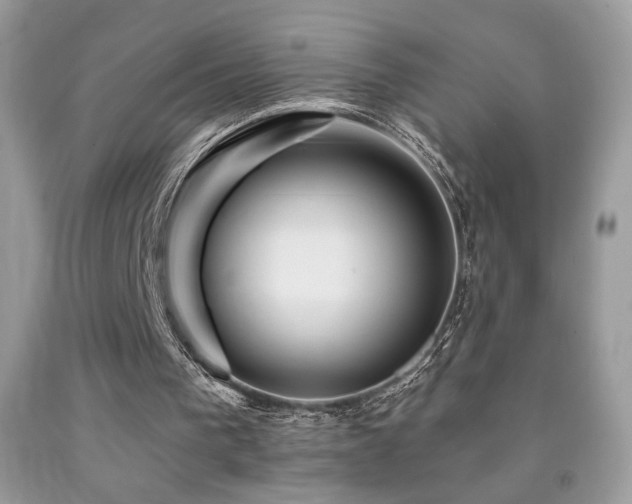 X0000091910193200709051426