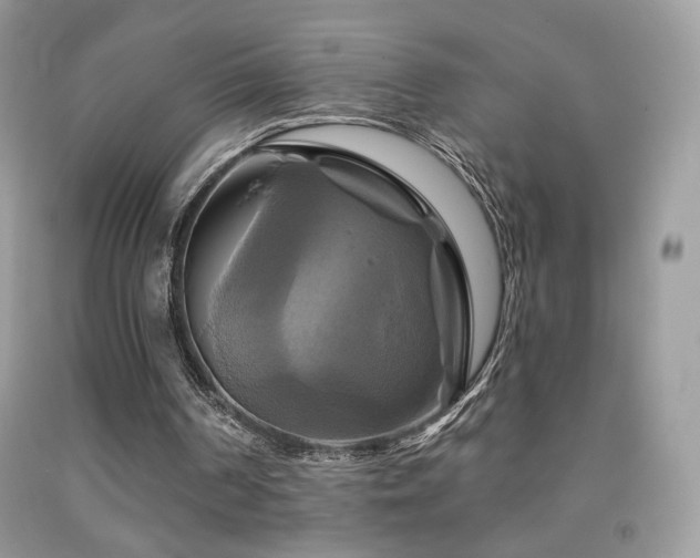 X0000091910194200709051426