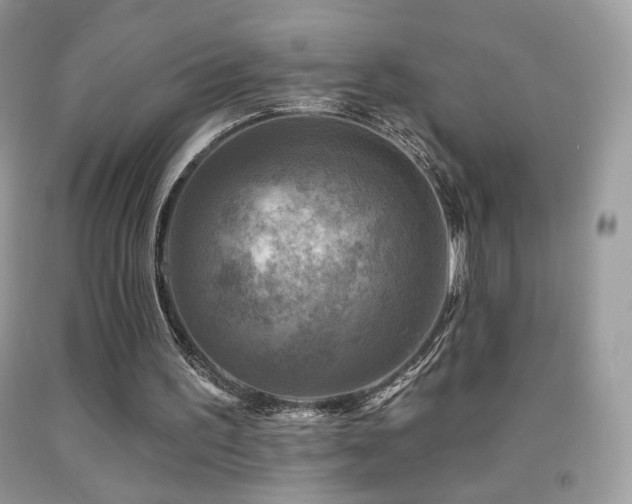 X0000091910195200709051426