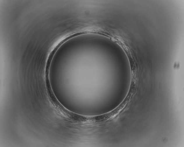 X0000091910196200709051426