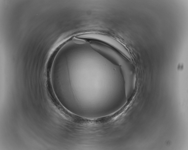 X0000091910198200709051426