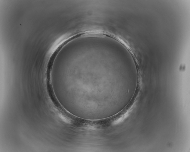 X0000091910199200709051426