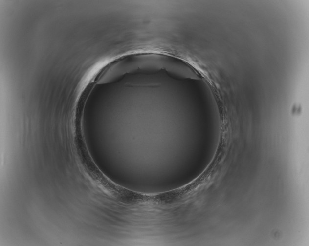 X0000091910200200709051426