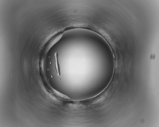 X0000091910201200709051426