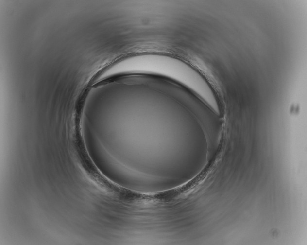 X0000091910202200709051426