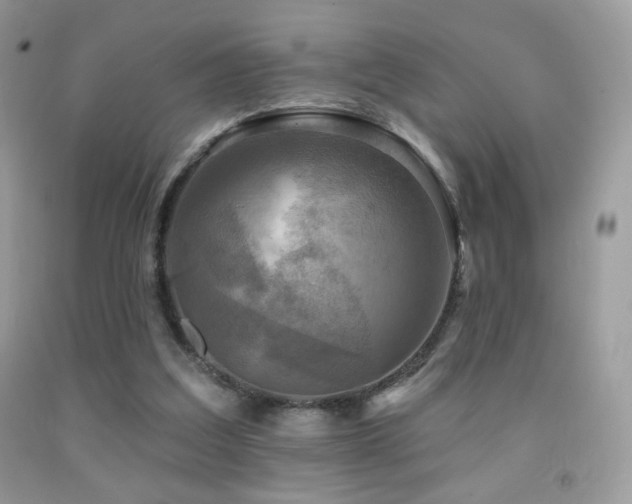 X0000091910203200709051426