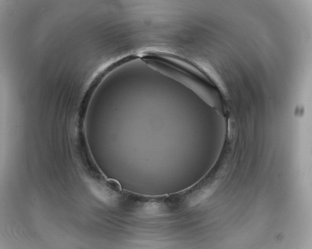 X0000091910204200709051426