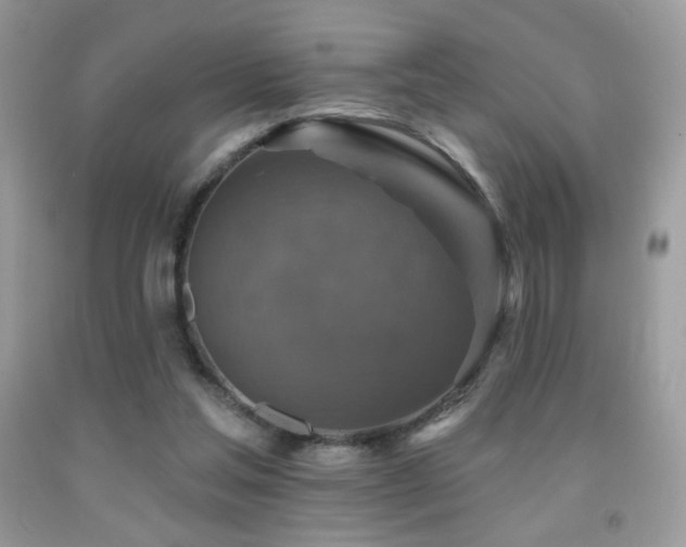 X0000091910205200709051426