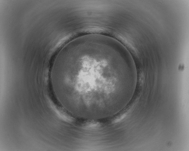 X0000091910206200709051426