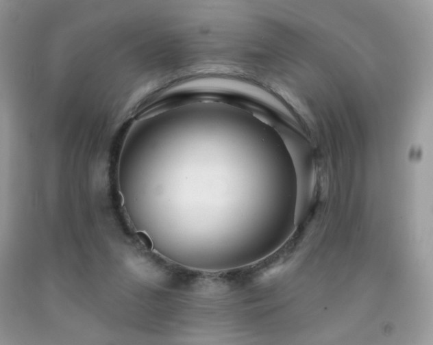 X0000091910207200709051426