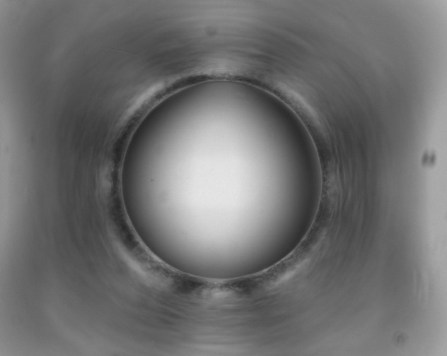 X0000091910208200709051425