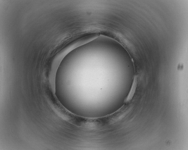 X0000091910209200709051425