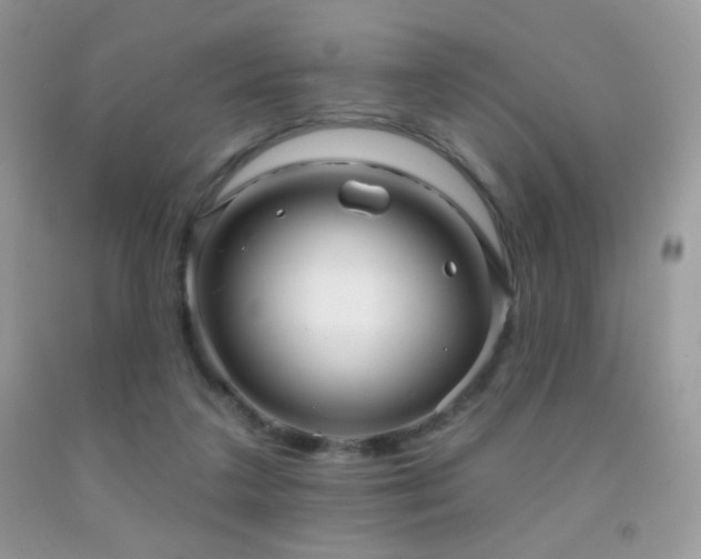 X0000091910211200709051425
