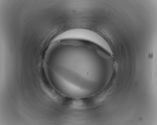 X0000091910214200709051425