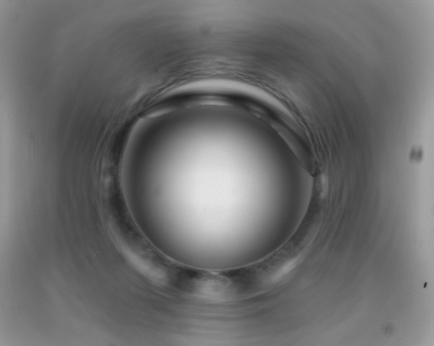 X0000091910215200709051425