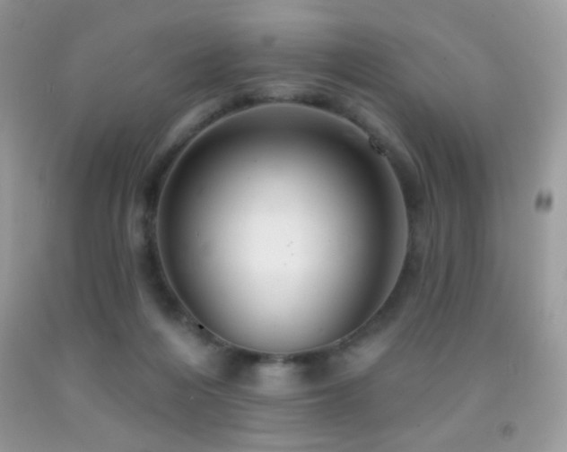 X0000091910216200709051425