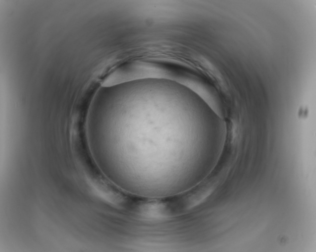 X0000091910217200709051425
