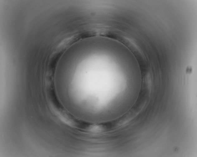 X0000091910218200709051425
