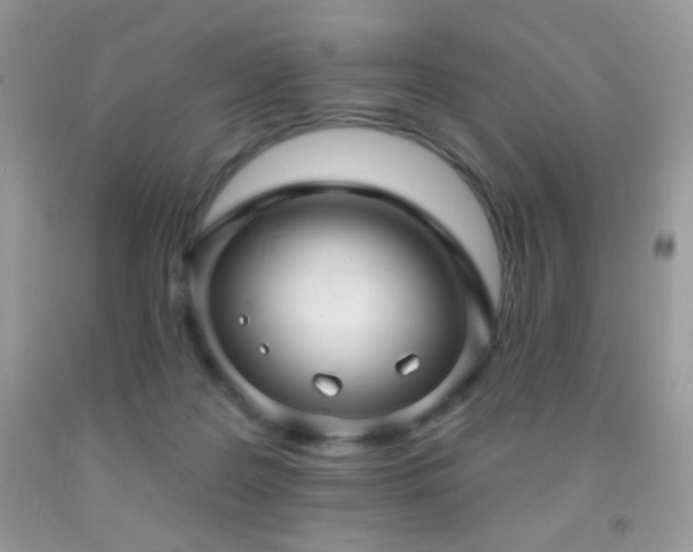 X0000091910219200709051425