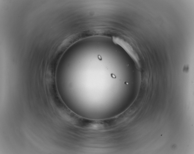 X0000091910220200709051425