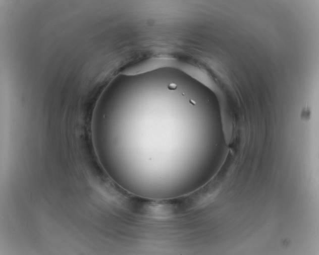 X0000091910221200709051425