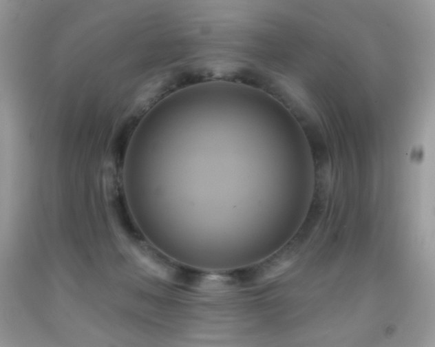 X0000091910222200709051425
