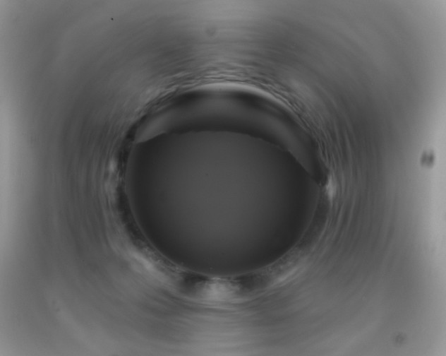 X0000091910223200709051425